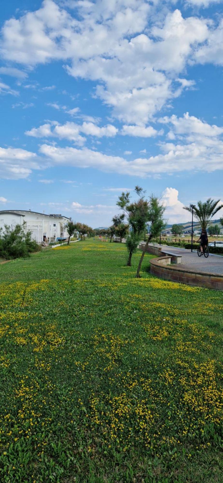 La Casa Del Capitano *